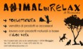 /album/nos-partenaires/animalinrelax-da-papero-one-senza-anif-jpg/